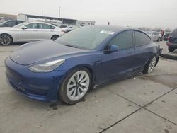 Salvage cars for sale at Grand Prairie, TX auction: 2023 Tesla Model 3