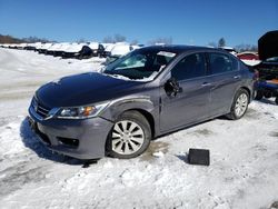 Salvage cars for sale at West Warren, MA auction: 2014 Honda Accord EXL