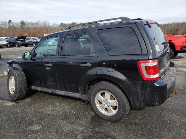 2011 Ford Escape XLT