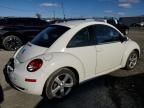 2008 Volkswagen New Beetle Triple White