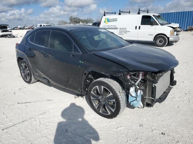 2020 Lexus UX 250H