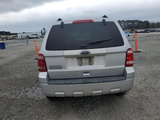 2011 Ford Escape XLT