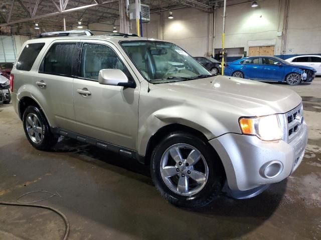 2011 Ford Escape Limited