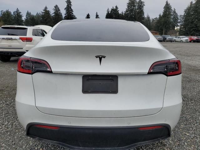 2020 Tesla Model Y