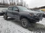 2019 Toyota Tacoma Double Cab