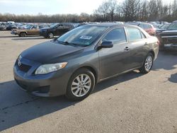 Salvage cars for sale at Glassboro, NJ auction: 2010 Toyota Corolla Base