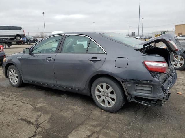 2009 Toyota Camry Hybrid