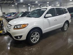 Salvage cars for sale at Ham Lake, MN auction: 2011 Hyundai Santa FE Limited