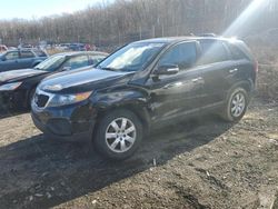 KIA Sorento lx Vehiculos salvage en venta: 2013 KIA Sorento LX