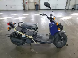 Honda Ruckus salvage cars for sale: 2023 Honda NPS50