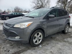 Salvage cars for sale at London, ON auction: 2014 Ford Escape SE