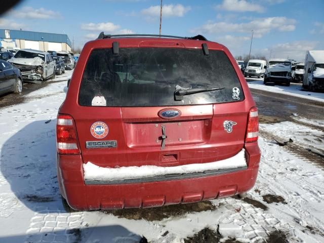 2010 Ford Escape XLT