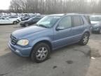 2004 Mercedes-Benz ML 500