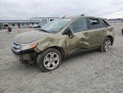 Salvage cars for sale at Lumberton, NC auction: 2012 Ford Edge SEL