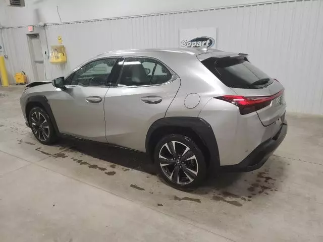 2019 Lexus UX 200