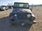 2002 Jeep Wrangler / TJ X