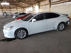 Salvage cars for sale at auction: 2013 Lexus ES 300H