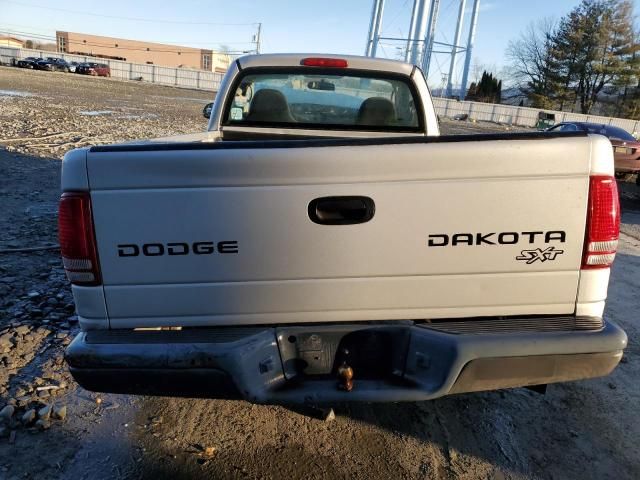 2004 Dodge Dakota SXT