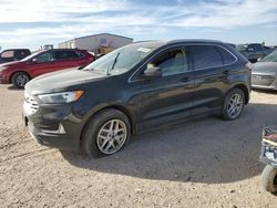 Salvage cars for sale at Amarillo, TX auction: 2022 Ford Edge SEL