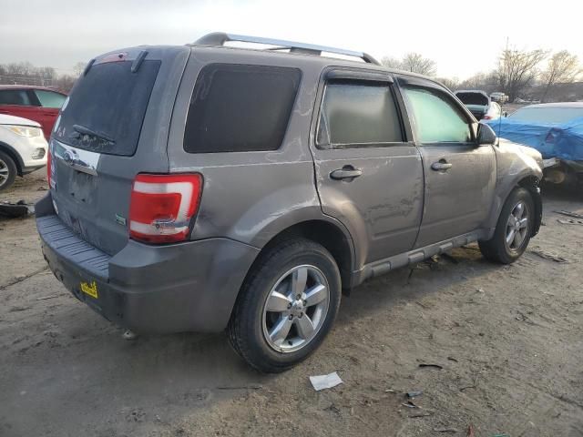 2011 Ford Escape Limited