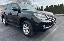 Salvage cars for sale at Mendon, MA auction: 2011 Lexus GX 460