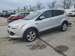 Salvage cars for sale at Bridgeton, MO auction: 2015 Ford Escape SE