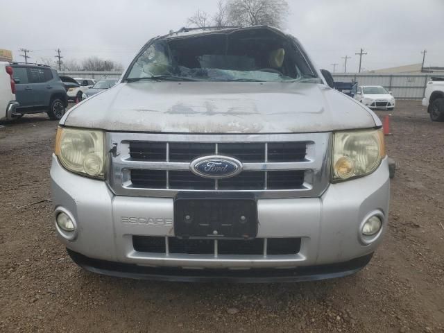 2009 Ford Escape XLT