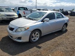 Salvage cars for sale from Copart Kapolei, HI: 2010 Toyota Corolla Base