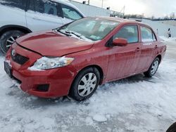 Clean Title Cars for sale at auction: 2009 Toyota Corolla Base