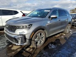 Salvage cars for sale at New Britain, CT auction: 2024 KIA Sorento SX Prestige