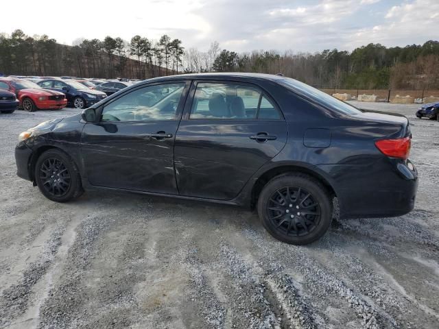 2010 Toyota Corolla Base