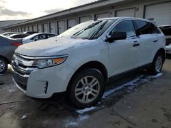 Salvage cars for sale at Louisville, KY auction: 2011 Ford Edge SE