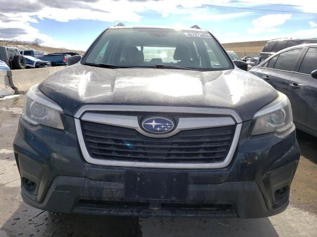 2019 Subaru Forester