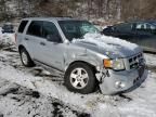 2010 Ford Escape Hybrid