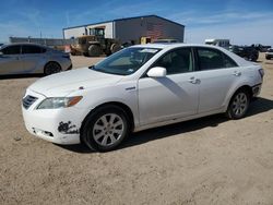 Salvage cars for sale from Copart Amarillo, TX: 2008 Toyota Camry Hybrid