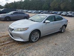 Salvage cars for sale at Eight Mile, AL auction: 2013 Lexus ES 350