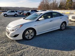 Hyundai Vehiculos salvage en venta: 2013 Hyundai Sonata Hybrid