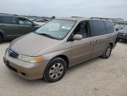 Salvage cars for sale at San Antonio, TX auction: 2003 Honda Odyssey EX