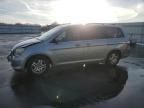 2005 Honda Odyssey EX