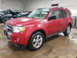 Salvage cars for sale at Elgin, IL auction: 2011 Ford Escape Limited