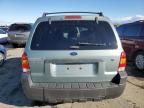 2007 Ford Escape XLT