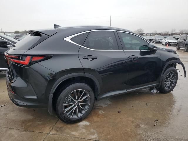 2025 Lexus NX 250 Base