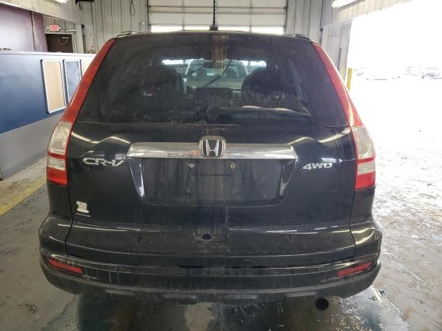 2010 Honda CR-V EXL