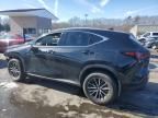 2024 Lexus NX 350 Base