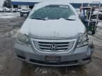 2010 Honda Odyssey EX