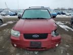 2007 Ford Escape XLT