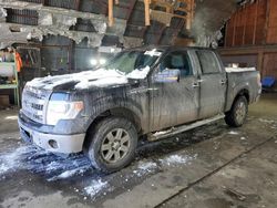 Salvage cars for sale at Albany, NY auction: 2014 Ford F150 Supercrew