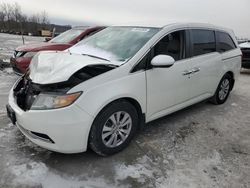 Honda Vehiculos salvage en venta: 2016 Honda Odyssey SE