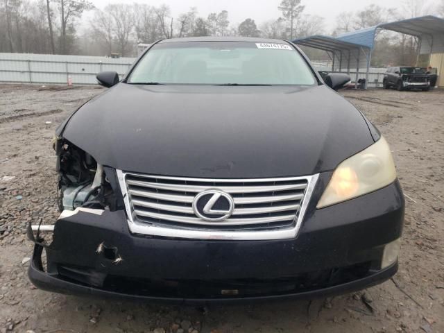 2010 Lexus ES 350