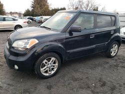 Vehiculos salvage en venta de Copart Finksburg, MD: 2010 KIA Soul +